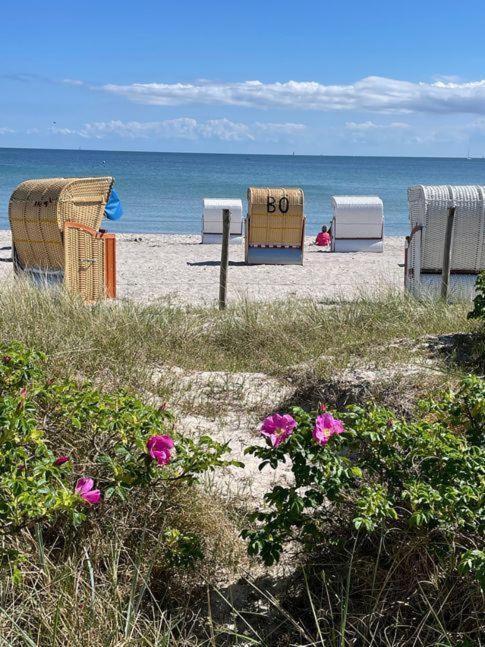 Fewo-Mit-Terasse-U-Garten-Am-Golfplatz Wulfen auf Fehmarn Eksteriør billede