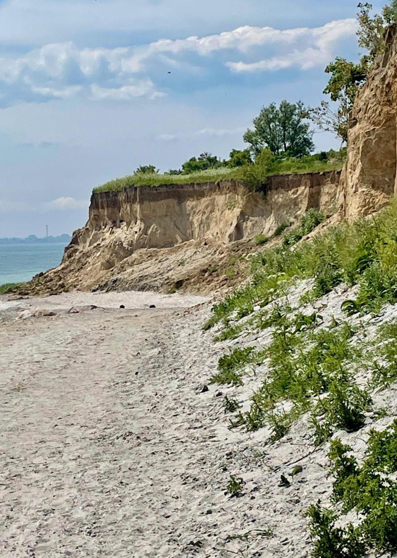 Fewo-Mit-Terasse-U-Garten-Am-Golfplatz Wulfen auf Fehmarn Eksteriør billede